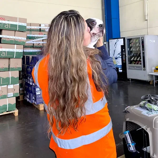 Personal de Trans Animal Cargo con una mascota en la terminal de carga, junto al guacal de viaje
